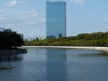 p1010988