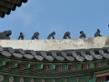 p1020878