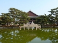 p1020893