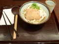 p1010578