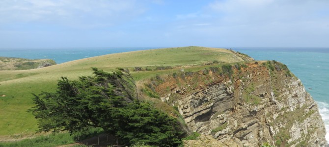 The Catlins und Bluff